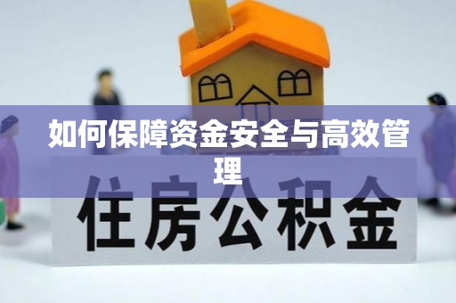 龙岩如何保障资金安全与高效管理