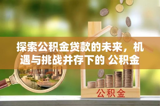 龙岩探索公积金贷款的未来，机遇与挑战并存下的 公积金贷款风险防控