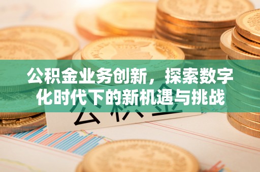 龙岩公积金业务创新，探索数字化时代下的新机遇与挑战