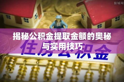 龙岩揭秘公积金提取金额的奥秘与实用技巧
