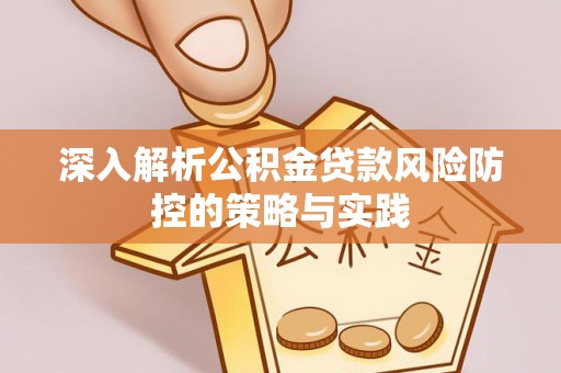 龙岩深入解析公积金贷款风险防控的策略与实践