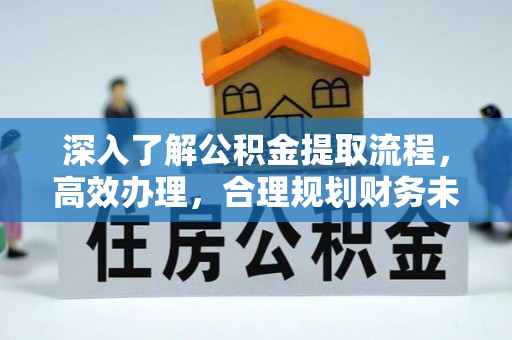 龙岩深入了解公积金提取流程，高效办理，合理规划财务未来