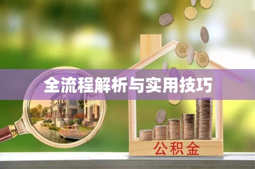 龙岩全流程解析与实用技巧