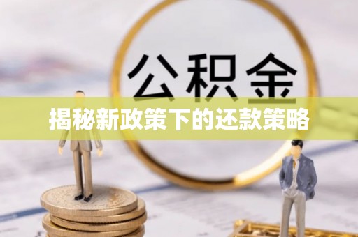 龙岩揭秘新政策下的还款策略