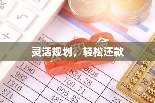 龙岩灵活规划，轻松还款