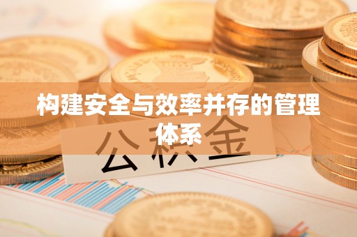 龙岩构建安全与效率并存的管理体系
