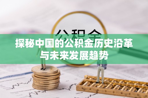 龙岩探秘中国的公积金历史沿革与未来发展趋势