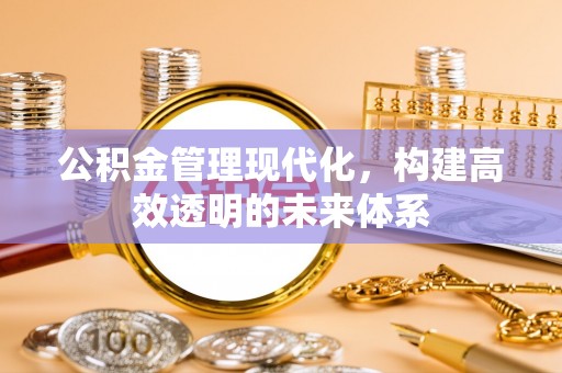 龙岩公积金管理现代化，构建高效透明的未来体系