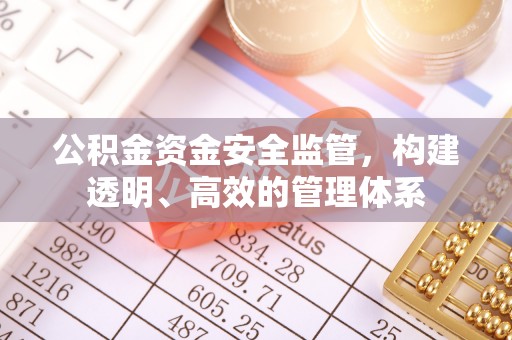 龙岩公积金资金安全监管，构建透明、高效的管理体系