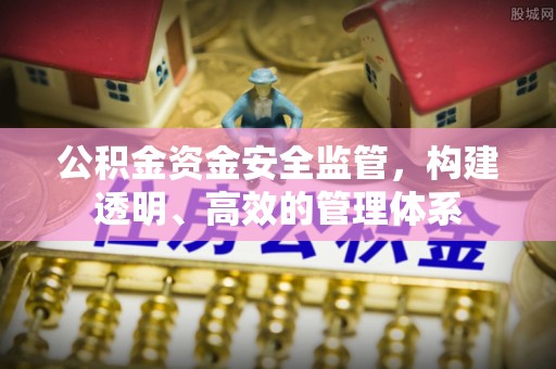 龙岩公积金资金安全监管，构建透明、高效的管理体系
