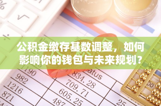 龙岩公积金缴存基数调整，如何影响你的钱包与未来规划？