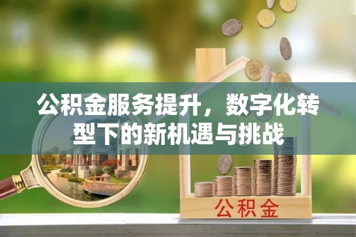 龙岩公积金服务提升，数字化转型下的新机遇与挑战