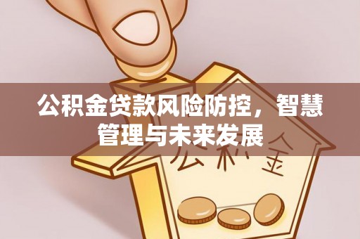 龙岩公积金贷款风险防控，智慧管理与未来发展