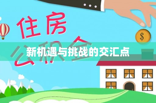 龙岩新机遇与挑战的交汇点