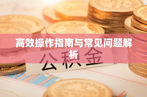 龙岩高效操作指南与常见问题解析