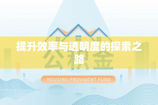 龙岩提升效率与透明度的探索之路