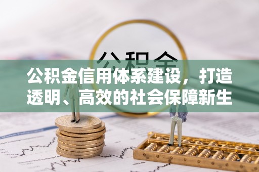 龙岩公积金信用体系建设，打造透明、高效的社会保障新生态