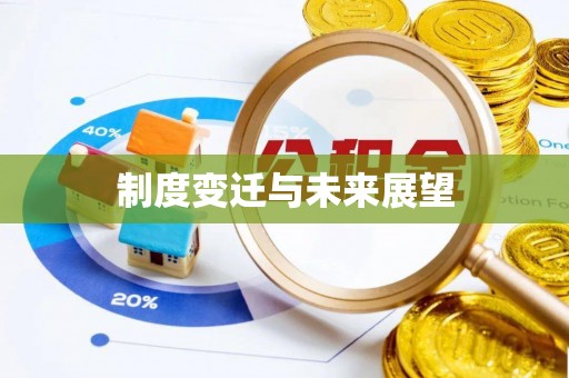 龙岩制度变迁与未来展望