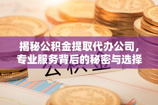 龙岩揭秘公积金提取代办公司，专业服务背后的秘密与选择指南