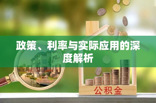 龙岩政策、利率与实际应用的深度解析