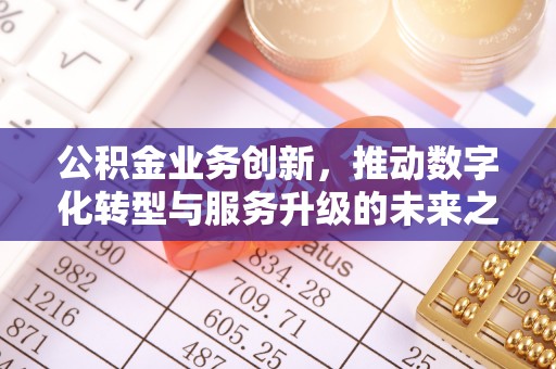 龙岩公积金业务创新，推动数字化转型与服务升级的未来之路