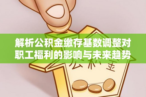 龙岩解析公积金缴存基数调整对职工福利的影响与未来趋势