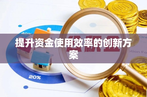 龙岩提升资金使用效率的创新方案