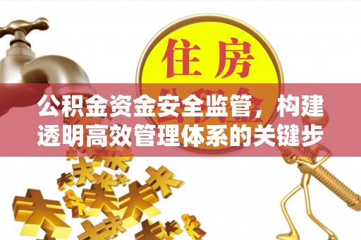 龙岩公积金资金安全监管，构建透明高效管理体系的关键步骤