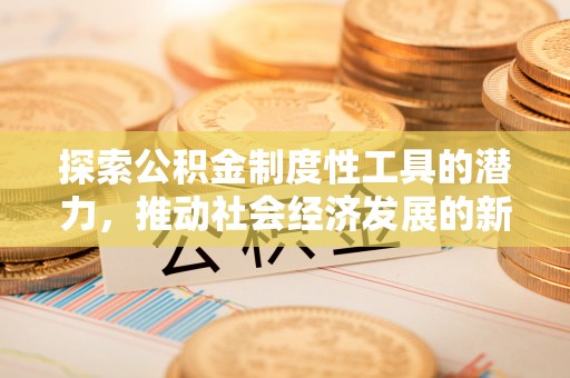 龙岩探索公积金制度性工具的潜力，推动社会经济发展的新引擎