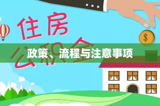 龙岩政策、流程与注意事项