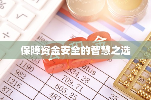 龙岩保障资金安全的智慧之选