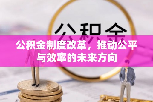 龙岩公积金制度改革，推动公平与效率的未来方向