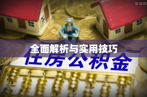 龙岩全面解析与实用技巧