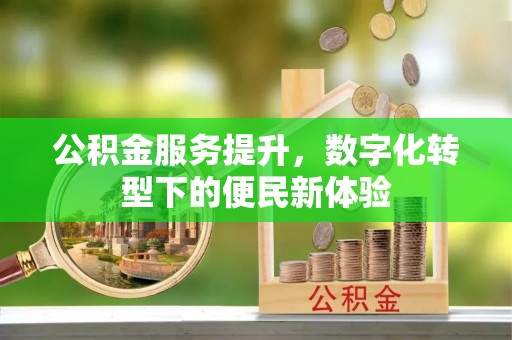 龙岩公积金服务提升，数字化转型下的便民新体验