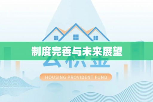龙岩制度完善与未来展望