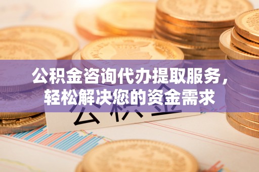 龙岩公积金咨询代办提取服务，轻松解决您的资金需求