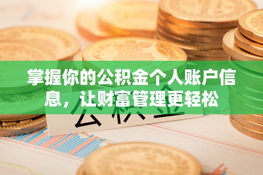 龙岩掌握你的公积金个人账户信息，让财富管理更轻松