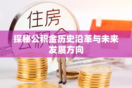龙岩探秘公积金历史沿革与未来发展方向