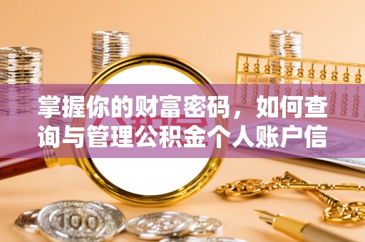 龙岩掌握你的财富密码，如何查询与管理公积金个人账户信息