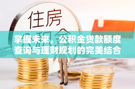 龙岩掌握未来，公积金贷款额度查询与理财规划的完美结合