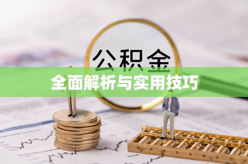 龙岩全面解析与实用技巧
