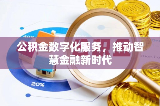龙岩公积金数字化服务，推动智慧金融新时代