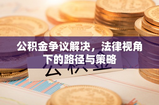 龙岩公积金争议解决，法律视角下的路径与策略