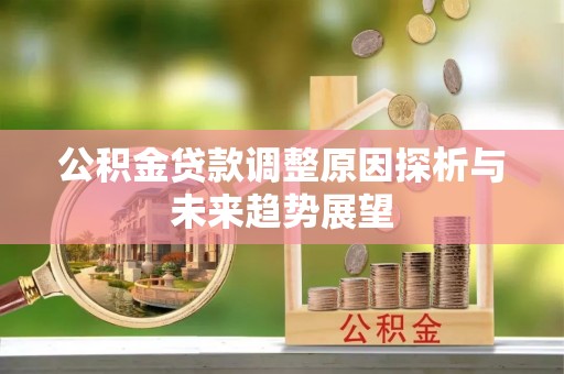 龙岩公积金贷款调整原因探析与未来趋势展望