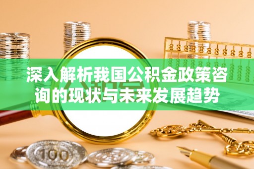 龙岩深入解析我国公积金政策咨询的现状与未来发展趋势