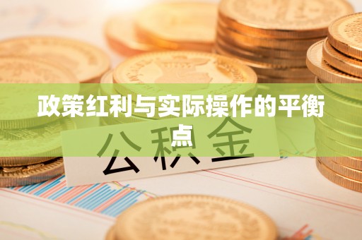 龙岩政策红利与实际操作的平衡点