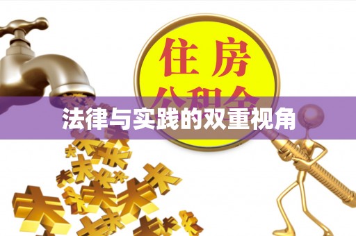 龙岩法律与实践的双重视角