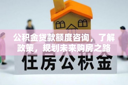 龙岩公积金贷款额度咨询，了解政策，规划未来购房之路