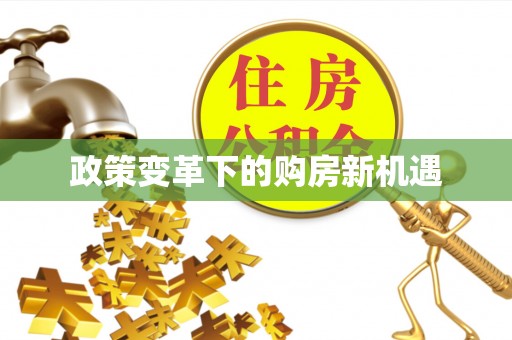 龙岩政策变革下的购房新机遇