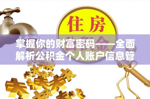 龙岩掌握你的财富密码——全面解析公积金个人账户信息管理与优化